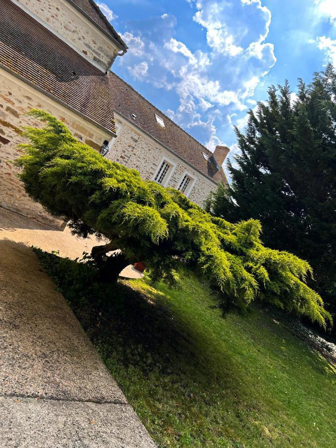 Appartamento Le Domaine De Jade Chatillon-la-Borde Esterno foto